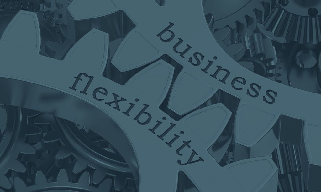 business flexibility